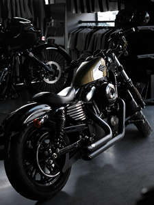 Retrofit/upgrade <span class=keywords><strong>Akrapovic</strong></span> de alto rendimiento de buena calidad para motocicletas BMW E60 Harley-Davidson X48 y escape 883 VH - Product Image 2