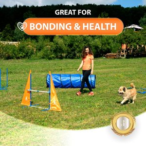 Cours complet d'équipement d'entraînement d'agilité pour chiens en plein air Poteaux <span class=keywords><strong>de</strong></span> tissage en métal et en plastique Boîte <span class=keywords><strong>de</strong></span> pause et tunnel - Product Image 2
