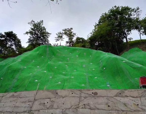 Bền <span class=keywords><strong>HDPE</strong></span> 3D geomat để kiểm soát xói mòn và ổn định độ dốc trong các ứng dụng ven biển đường cao tốc và đường sắt - Product Image 6