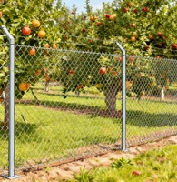 Malla de Alambre Galvanizada y Recubierta de PVC de 6 y 8 Pies para Cercas de Seguridad Perimetral en Granjas y Jardines