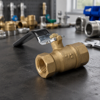 Robinet à boisseau sphérique en laiton, manuel, pour gaz et eau, raccord NPT 1/2 pouce, garantie 3 ans, personnalisable OEM, joint en PTFE, plage de température 0-284°F, 200