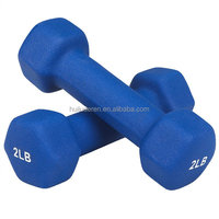 Paire d'haltères en fonte recouvertes de plastique, poids réglables, ensemble de 2 pièces, équipement de fitness de qualité supérieure pour Pilates, aérobic, gym à domicile, professionnel