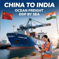 Expédition maritime de la Chine vers Mumbai, Inde, fret maritime EXW FOB DDP DAP, agent d'expédition porte-à-porte par mer avec FCL LCL, dédouanement
