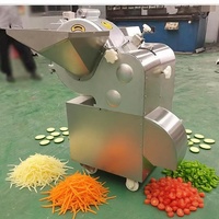 Coupe-légumes et fruits électrique polyvalent et facile à utiliser, découpez les pommes de terre, les aubergines, les concombres à l'exposition de votre choix