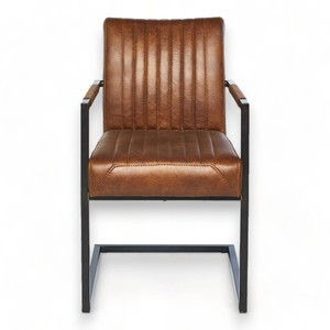 Fauteuil contemporain en cuir avec structure métallique, design élégant, coussin moelleux, structure robuste et style intemporel - Product Image 1