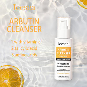 Nettoyant Visage Éclaircissant à l'Arbutine Marque Privée OEM, Correcteur de Taches Brunes pour l'Hyperpigmentation et l'Inégalité du Teint – Fabricant - Product Image 6