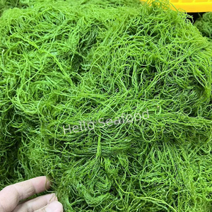 Espárragos de algas con Sabor Orgánico Schoberioides Kunth bolsa picada seca Fujian - Product Image 1