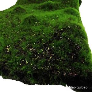 Césped <span class=keywords><strong>Artificial</strong></span> Entong, Alfombra de Musgo Verde, Decoración para Bodas, Hogar, Exteriores, Fondo para Tanques de Agua y <span class=keywords><strong>Tierra</strong></span> - Product Image 5