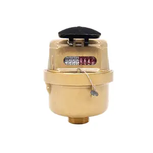 Residential Domestic Household Kent Piston Displacement Volumetric Brass Body Dry Type R160 R200 DN15 Water Flow Meter Digital