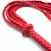 Offre Spéciale : Kit de Jeu SM pour Adultes – Ensemble de Bondage, Menottes, Bâillon à Boule, Fouet en Nylon – Jouets Sexuels pour Couples Amoureux