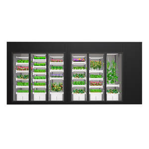 Sistema Hidropónico Inteligente Controlado por Aplicación, Agricultura Vertical Interior, Sistema Modular <span class=keywords><strong>de</strong></span> Cultivo Hidropónico <span class=keywords><strong>de</strong></span> Frutas y Verduras - Product Image 2