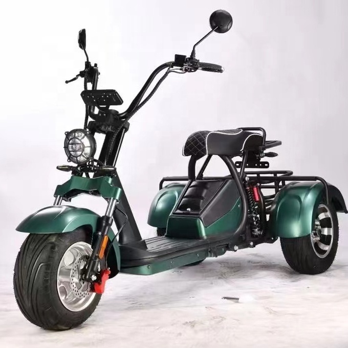 Trike Motorcycle Wheel Electric Cargo Passenger
