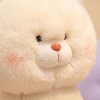 Peluche chien Chow-Chow mignon et moelleux, poupée apaisante douce pour la vente en gros aux détaillants et le marché de revente