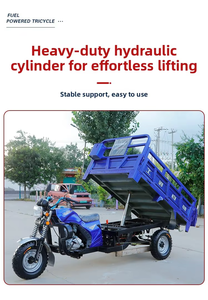 Tricycle motorisé à trois roues ouvert avec capacité de 4000 kg et moteur de 250/300 cm³ - Product Image 3