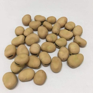 Bán Đậu Khô Fava <span class=keywords><strong>Beans</strong></span> - Product Image 6