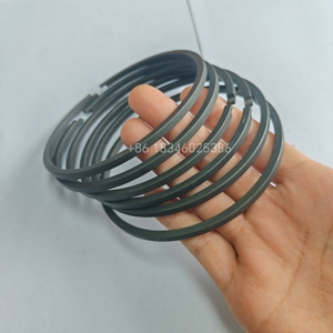 Anelli <span class=keywords><strong>di</strong></span> tenuta meccanica per riduttori anelli <span class=keywords><strong>di</strong></span> <span class=keywords><strong>ferro</strong></span> e acciaio resistenti all'usura per compressori d'aria e motori - Product Image 4