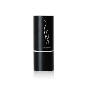 New car perfume perfumer Mini essential oil Perfumer USB fragrance machine pure essential oil air purifier