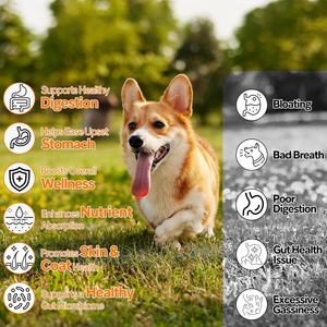 Probióticos para Perros con Prebióticos, Marca Privada OEM ODM, Promueve un Microbioma Intestinal Equilibrado, Refuerza la Salud Inmunológica, Masticables Blandos - Product Image 2