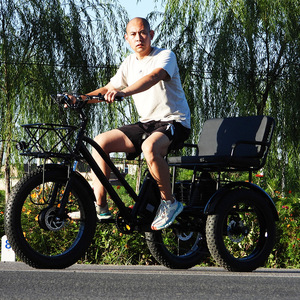<span class=keywords><strong>Tricycle</strong></span> électrique à pneus gras de 24 pouces 750W, <span class=keywords><strong>tricycle</strong></span> cargo à <span class=keywords><strong>assistance</strong></span> au pédalage à double siège pour adultes et promenades en famille - Product Image 3