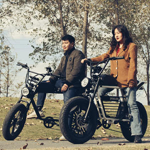 Cadre de vélo électrique longue portée, vitesse rapide, vélo électrique, pneu large, <span class=keywords><strong>moto</strong></span> Ebike, prix bas - Product Image 3