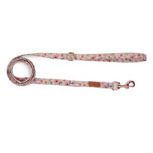 Collar para Perro de Algodón Suave y Cómodo, Ajustable, con Estampado Moderno y Elegante, Talla XS, Personalizado, Duradero, Venta al Por Mayor, OEM, Ligero - Product Image 5