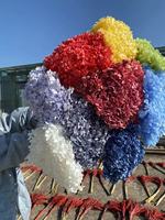 Fleurs préservées de haute qualité en gros, Hortensia à grandes feuilles blanc pur Anna pour la décoration de mariage, de maison et de fête