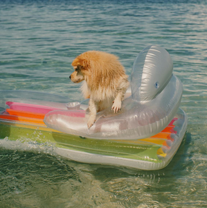 Flotteur gonflable en <span class=keywords><strong>plastique</strong></span> <span class=keywords><strong>de</strong></span> matelas <span class=keywords><strong>de</strong></span> lit <span class=keywords><strong>de</strong></span> natation <span class=keywords><strong>de</strong></span> l'eau avec la baignoire gonflable <span class=keywords><strong>de</strong></span> bronzage <span class=keywords><strong>de</strong></span> piscine d'oreiller <span class=keywords><strong>de</strong></span> PVC - Product Image 4