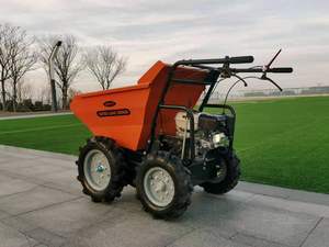 <span class=keywords><strong>Brouette</strong></span> motorisée 4x4 ANT avec moteur, roulement et boîte de vitesses, capacité de charge de 250 kg pour les <span class=keywords><strong>travaux</strong></span> agricoles et de jardinage - Product Image 5