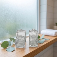 Flacon diffuseur à bouchon à vis en verre transparent vide de 100 ml, style minimaliste moderne, pour huiles essentielles