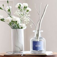 Bouteilles de diffuseur à roseaux en verre vides certifiées ISO de haute qualité pour l'aromathérapie – Vente en gros