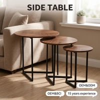 Ensemble de tables d'appoint multifonctionnelles en fer forgé moderne pour salon - Écologique, facile à nettoyer, avec rangement