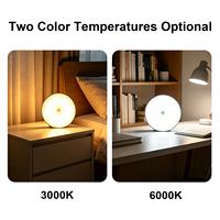Lampe de nuit LED rechargeable à détecteur de mouvement, solaire, USB, sans fil, magnétique, pour armoire, escalier, placard, mur, intérieur