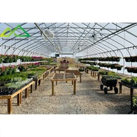 Serre tunnel en film plastique PE à simple travée, économique et durable, avec structure en acier galvanisé résistante au vent, idéale pour la culture des légumes