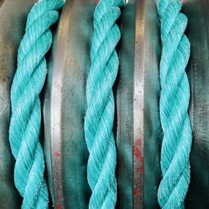 Top 1 nhựa/Polypropylene/HDPE/PET/Nylon/PP/PE danline dây dây máy làm cho Indonesia Việt thị trường Hàn Quốc - Product Image 1