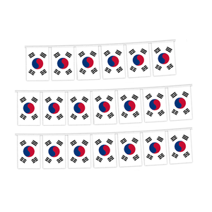 Guirnaldas de Banderas Rectangulares Pequeñas al por Mayor, Ideales para Eventos Patrióticos y Decoraciones del Día Nacional el <span class=keywords><strong>2</strong></span> de junio - Product Image 5