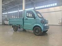 Mini camionnette électrique compacte rechargeable avec boîte ouverte pour le transport de marchandises commercial, idéale pour la logistique urbaine, les travaux agricoles et les scénarios de transport routier (conforme CEE)