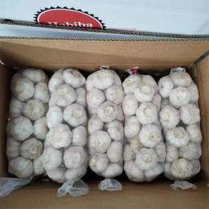 Ail <span class=keywords><strong>frais</strong></span> Ajo New Crop Ail blanc normal de bonne qualité Ail <span class=keywords><strong>acheter</strong></span> de l'ail 20kg sac en Chine - Product Image 2