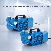 Pompe de transfert d'essence en fonte antidéflagrante à haut débit 12V/24V/220V, distributeur de carburant monté sur véhicule, pompe de transfert d'huile, garantie 1 an