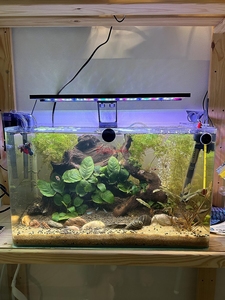 Fullgain FG163 Clip On Full Spectrum WRGB Aquarium LED Light Day Night Sanrise Dual Timer Fish Tank Light pour réservoir planté - Product Image 6