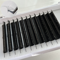 Cils Méga Volume Corée Pbt 003 mm Logo personnalisé Easy Fan Silk Mega Volume Easy Fanning Eyelash Extensions