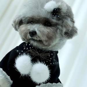 Collar Desmontable para Mascotas con Broche para el Cuello, Detalles de Piel Sintética Suave, Opciones de Color Personalizadas, Accesorio para Perros y Gatos - Product Image 2