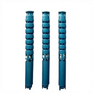 ปั๊มน้ำบาดาลแบบกำหนดเองสำหรับโครงการ High Flow พร้อมมอเตอร์สำหรับการชลประทานในฟาร์ม - Product Image 5
