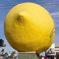 Sculpture de fruits en fibre de verre, sculpture de Noël en fibre de verre pour l'extérieur, sculpture géante de citron en fibre de verre