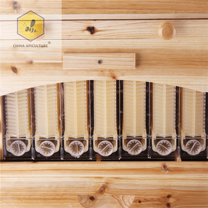 Herramientas de Apicultura, Nueva <span class=keywords><strong>Colmena</strong></span> de Flujo, Equipo de Apicultura, <span class=keywords><strong>Colmena</strong></span> de Abejas de 10 Cuadros con 7 Cuadros de Flujo - Product Image 3