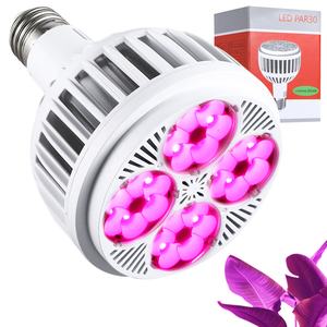 مصباح Led Par30 مقاوم للحرارة الأكثر مبيعاً مصباح أرجواني يساعد على النمو 24 واط مصباح للنباتات الداخلية الطيف الكامل - Product Image 1