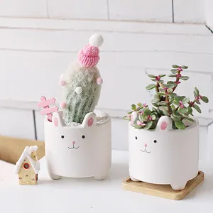 Potes de cerâmica para gatos, potes pequenos de flores