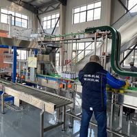 Kant-En-Klare Oplossing Voor Mango/Ananas/Passievrucht/Guave/Kokosvruchtenpulp Die Machine Voor Het Vullen Van Aseptische Zakken Maakt
