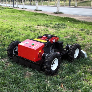 Mini-tondeuse domestique à vendre, livraison gratuite, tondeuse à gazon sur chenilles à moteur essence avec télécommande pour l'agriculture et - Product Image 6