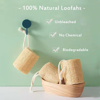 Éponge de douche en luffa naturelle Éponge de luffa biologique multifonctionnelle pour le nettoyage de la vaisselle ou le bain exfoliant