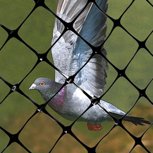 Filet anti-oiseaux en polypropylène robuste à prix abordable <span class=keywords><strong>pour</strong></span> jardin, fixation facile <span class=keywords><strong>pour</strong></span> parterres de légumes, arbres, arbustes, <span class=keywords><strong>protection</strong></span> anti-oiseaux, découpe facile - Product Image 6